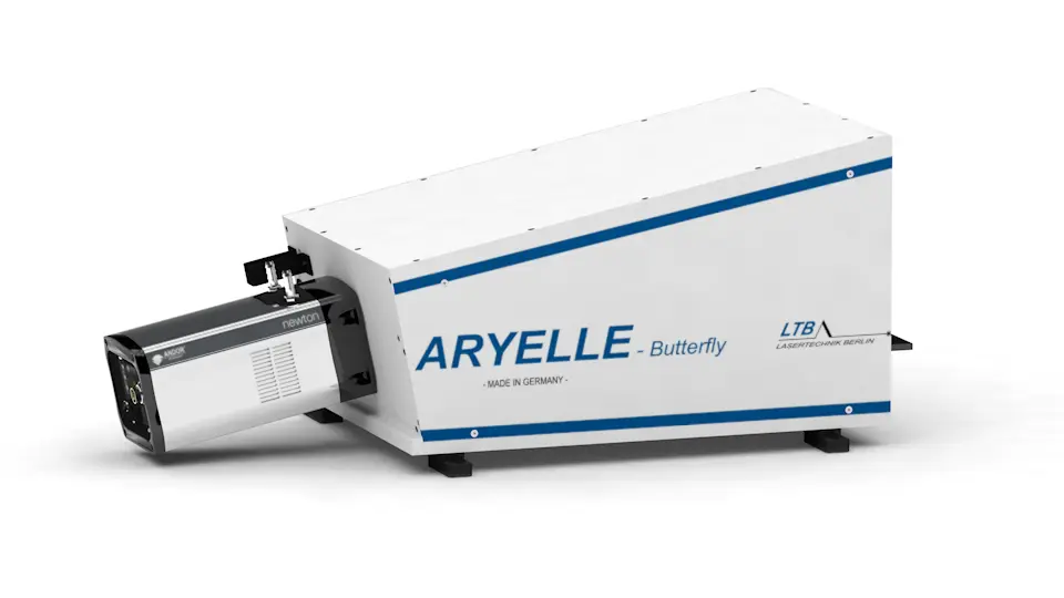 ARYELLE Butterfly