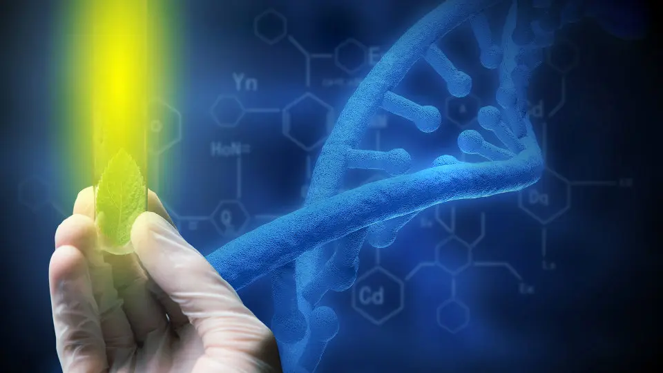 Symbolic representation of laser-induced fluorescence (LIF): hand with test tube, yellow light beam, DNA background.